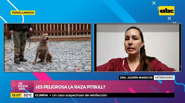 ¿Es peligrosa la raza pitbull? - Ensiestados - ABC Color