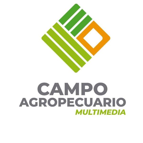 Presencia de la mancha anillada de la soja en el departamento de Canindeyú