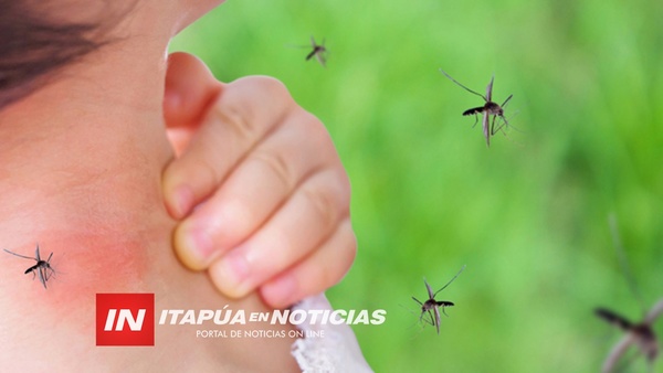 CAMPAÑA INTERINSTITUCIONAL CONTRA EL DENGUE.