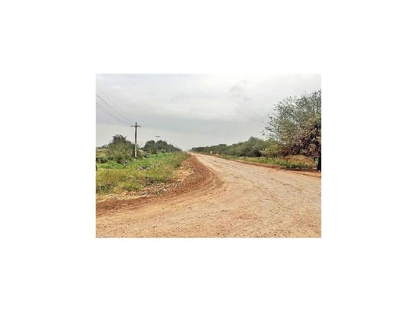 19 firmas pujan por la “ruta de la leche”