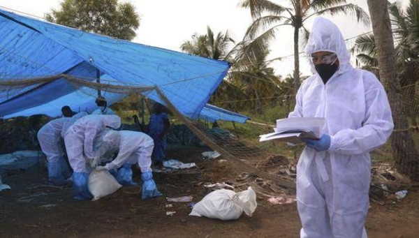 Diario HOY | Rusia afirma que detectó primer caso de transmisión de cepa H5N8 de gripe aviar al ser humano