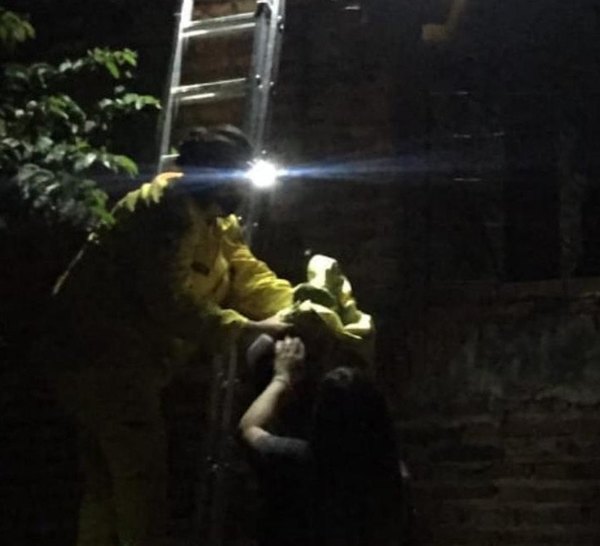 Crónica / Bomberos cantando logran bajar a “Panchito”