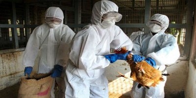 Rusia detectó primer caso de transmisión de cepa H5N8 de gripe aviar a seres humanos | Ñanduti