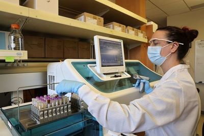 Variantes del coronavirus, ¿cómo son? - Mundo - ABC Color