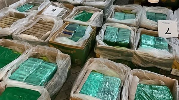 La Policía británica incauta 2.300 kilos de cocaína escondidos en un cargamento de bananas