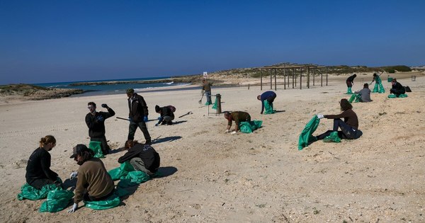 La Nación / Lanzan gran operativo de limpieza en playas de Israel para limpiar vertido de alquitrán