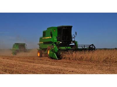 Tierras agrícolas de Alto Paraná son más caras que las de EEUU
