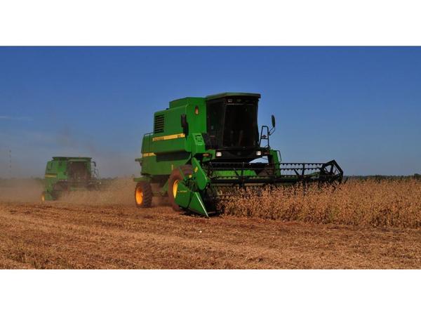 Tierras agrícolas de Alto Paraná son más caras que las de EEUU