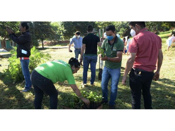 CDE respira pretende arborizar espacios públicos con 5.000 plantas