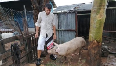 Crónica / Aso ofrece un “colchón” para aguante a presokue