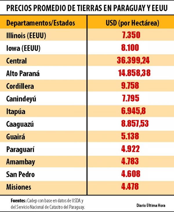 Tierras agrícolas de Alto Paraná son más caras que las de EEUU