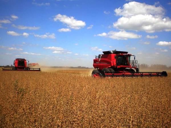 USDA estima expansión de envíos de soja de Paraguay para el 2030