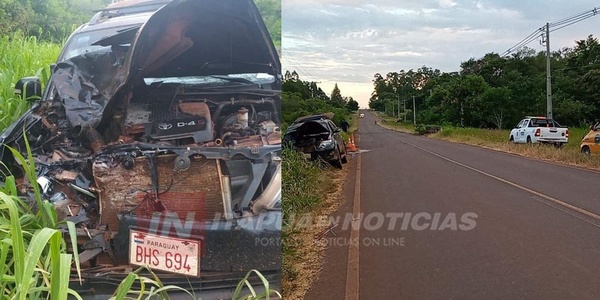 VEHÍCULO EMBISTIÓ UN CABALLO EN RUTA GRANEROS DEL SUR.