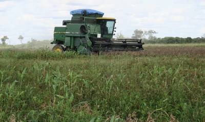 Los productores de soya de Bolivia inician un bloqueo contra el control de precios - MarketData