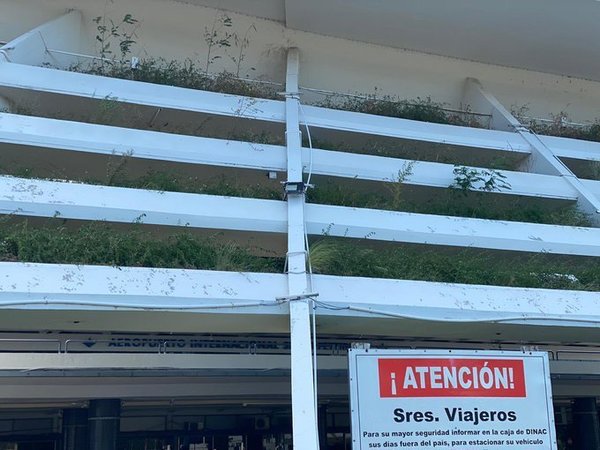 Profesional de la Salud se ofreció a restaurar jardines de acceso al aeropuerto Silvio Pettirossi ante el total abandono de los responsables