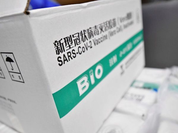 Bolivia envía avión para traer medio millón de vacunas chinas de Sinopharm