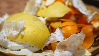 Este emprendimiento propone una solución para los residuos orgánicos de comercios y empresas