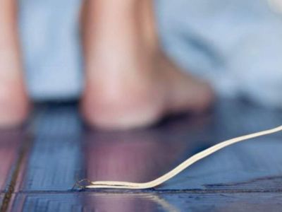 Murió electrocutado por cable suelto de su electrodoméstico