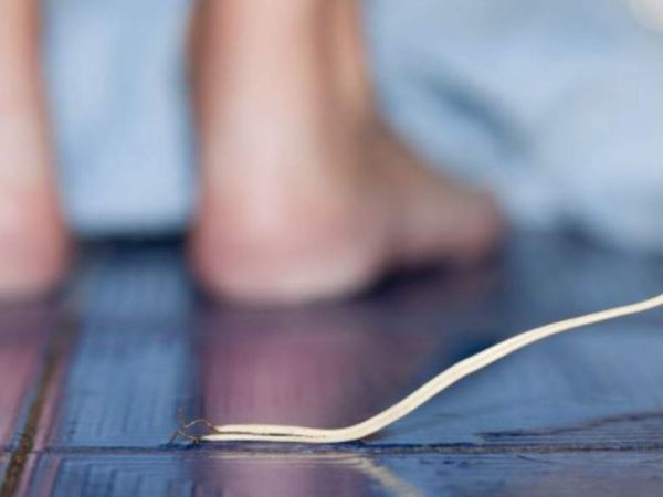 Murió electrocutado por cable suelto de su electrodoméstico