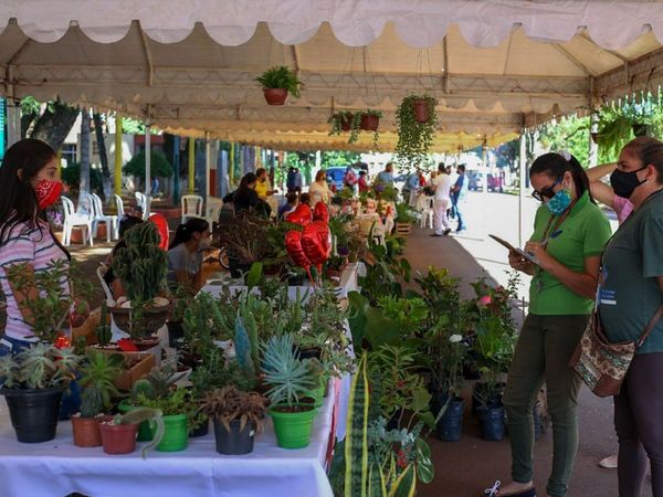 Hernandarias: Impulsan feria permanente como atractivo