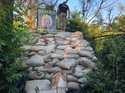 Senad incautó más de 30 toneladas de marihuana en Capitán Bado, Amambay | .::Agencia IP::.