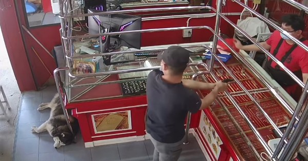 Dueño de joyería simula asalto para poner a prueba a su perro y la reacción del animal se vuelve viral - SNT