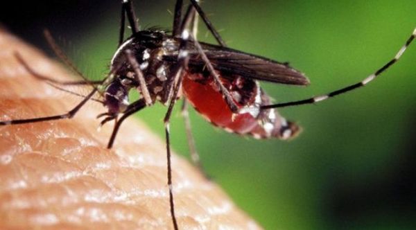 Alertan agresividad de serotipo circulante de dengue que ya dejó dos fallecidos