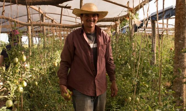 Gambeta de negocios de pequeños productores frente a intermediarios