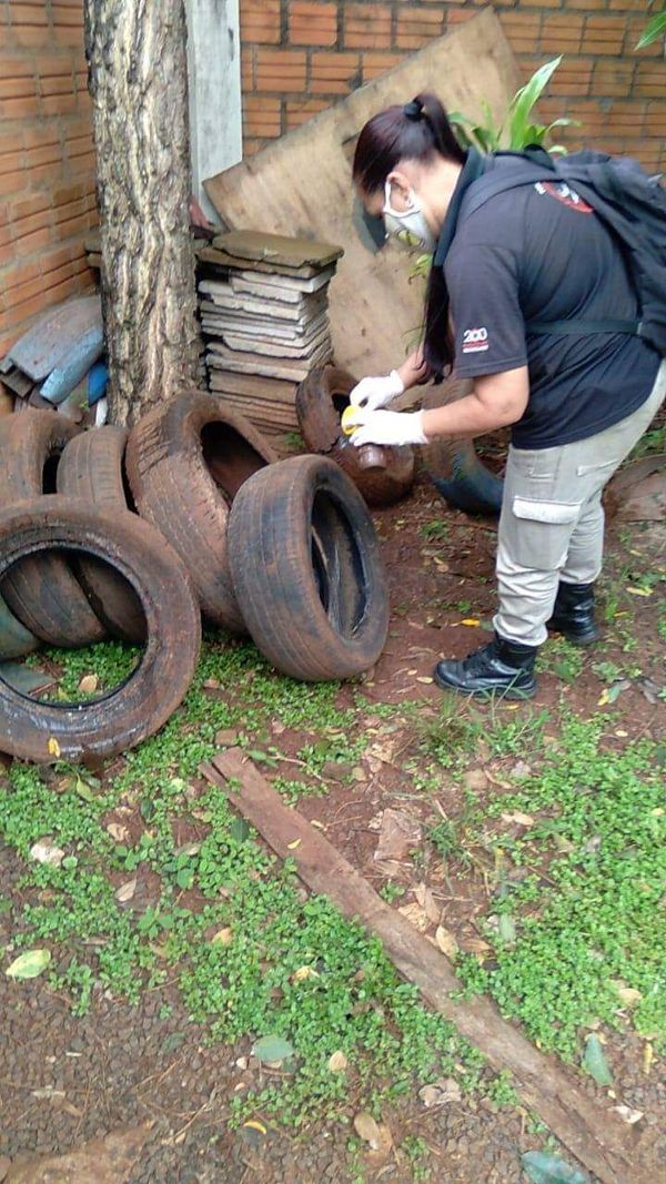 Preocupan casos sospechosos de dengue en Presidente Franco e Itakyry - ABC en el Este - ABC Color
