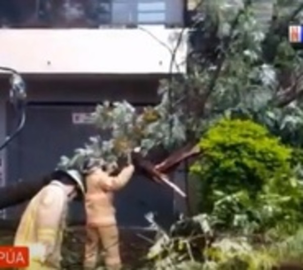 Destrozos tras temporal en Encarnación - Paraguay.com