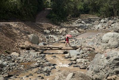 La zona cafetera renace en Nicaragua tras ser arrasada por los huracanes - MarketData