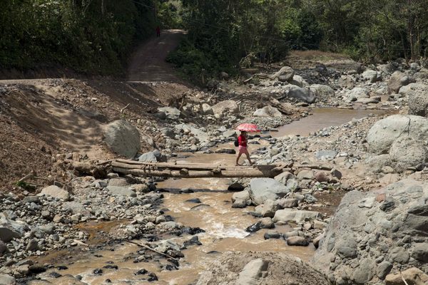 La zona cafetera renace en Nicaragua tras ser arrasada por los huracanes - MarketData