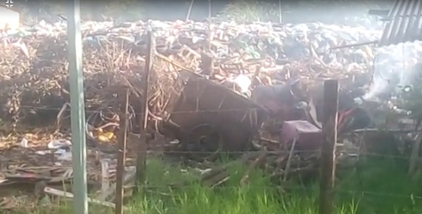 Queja contra Dirección de Medio Ambiente » San Lorenzo PY