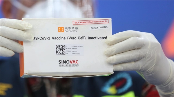 Empresa uruguaya habría ofrecido a Salud 4 millones de vacunas de Sinovac | Ñanduti