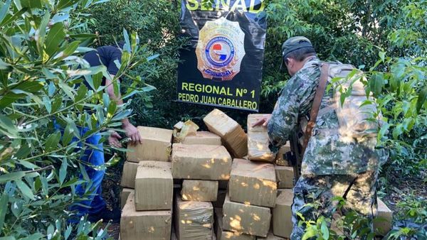 SENAD incautó más de 30 Toneladas de Marihuana en zona Capitán Bado