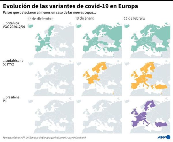 Anticuerpos no actúan eficazmente contra algunas variantes del coronavirus - Mundo - ABC Color