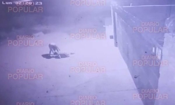 Quería robar cables, pero 23.000 voltios le dijeron “no”