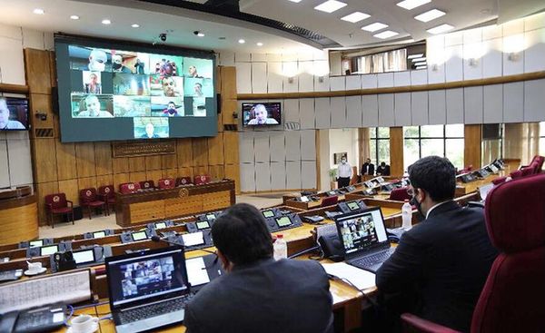 Comisión Permanente cierra periodo con lluvia de pedidos de informes - Nacionales - ABC Color