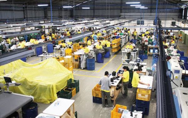 Desempleo persiste a causa de políticas contrarias a la economía sana, afirman - Nacionales - ABC Color