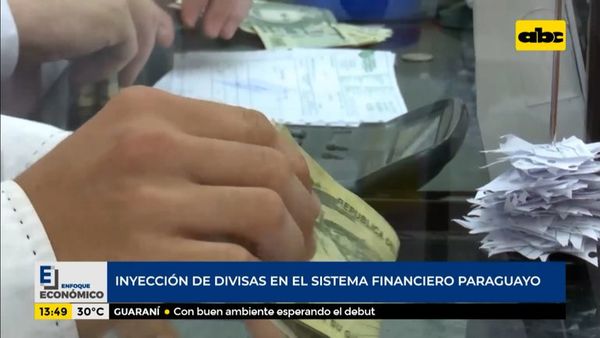 Enfoque Económico: inyección de divisas en el sistema financiero paraguayo - Enfoque económico - ABC Color