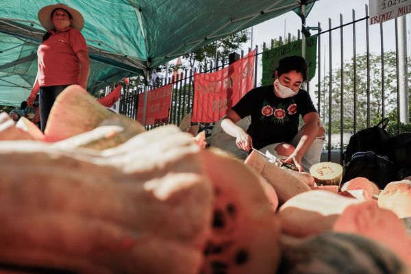 Campesinas donan alimentos para recordar a las "heroicas mujeres paraguayas" - MarketData