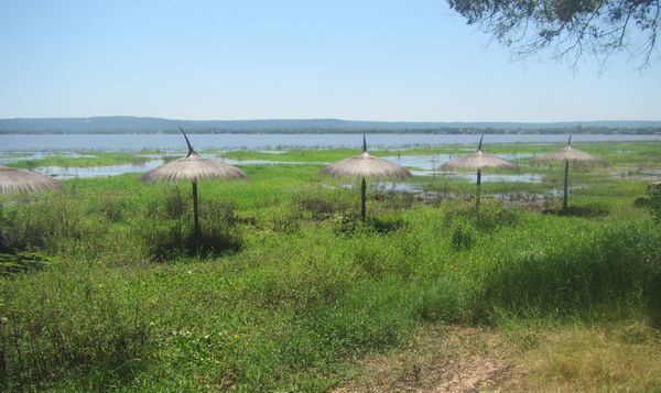 Tras intervención del Ministerio del Ambiente limpian playa municipal de Areguá - Nacionales - ABC Color
