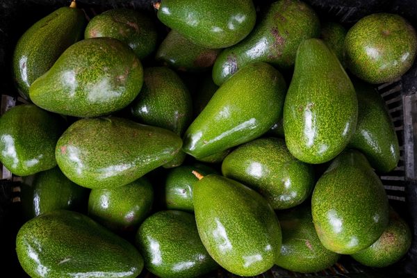 El aguacate dominicano contará con su marca de exportación en el mercado de EE.UU. - MarketData