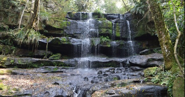 La Nación / Destino LN: parques nacionales sobresalen por su fastuosa naturaleza