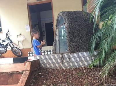 Crónica / Emoción por un mitã’i rezando frente a komi