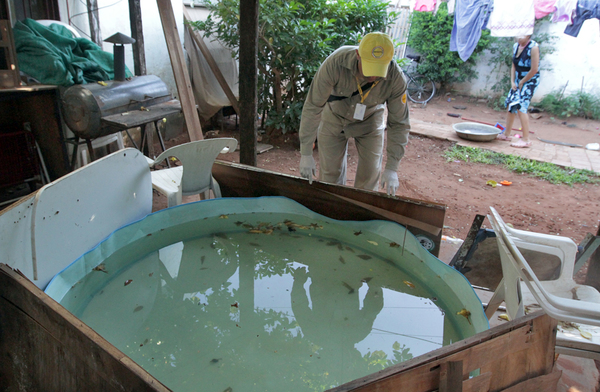 Cuando lo obvio no es tenido en cuenta: piscinas fácilmente son “hoteles” para el mosquito transmisor del dengue - ADN Digital