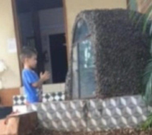 Viralizan foto de niño arrodillado frente a gruta - Paraguay.com
