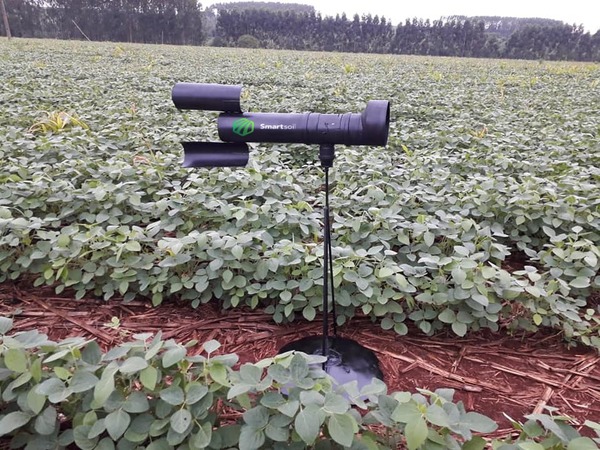 Instalarán un sistema automatizado para detectar la roya en cultivos