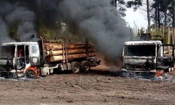 ARGENTINA: El Terrorismo Mapuche a las puertas de Buenos Aires