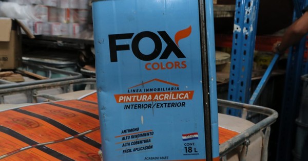 La Nación / Silva Facetti cuestiona control para evitar tráfico de cocaína en el país